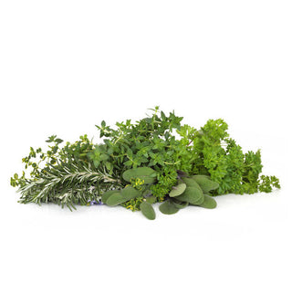 Herbs | Lim Joo Huat | Your Fresh Produce Partner