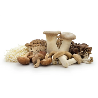 Mushrooms | Lim Joo Huat | Your Fresh Product Partner