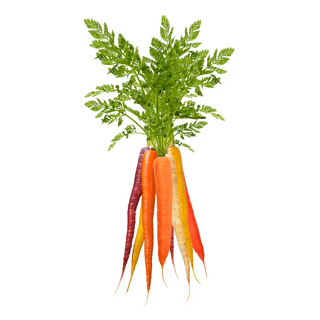 Roots | Lim Joo Huat | Your Fresh Product Partner