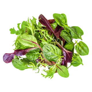 Salads Collection | Lim Joo Huat