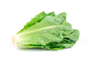 CHINESE COZ LETTUCE YOU MAI CHYE 油麦菜 (500G/PKT)