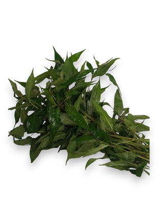 LAKSA LEAF 叻沙叶 (300G/PKT)