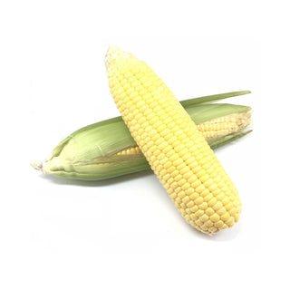 CORN ON COB 玉米
