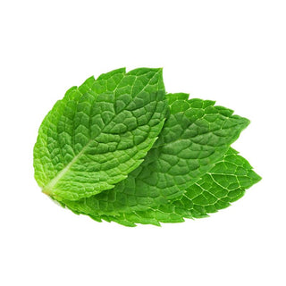 MINT LOCAL LEAF 本地薄荷叶 (300G/BUN)