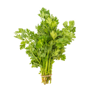 ITALIAN FLAT PARSLEY 意大利香菜 / 意大利芫荽 (50G/PKT)