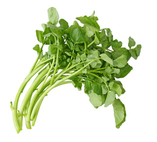 WATERCRESS 西洋菜 (300G/PKT)