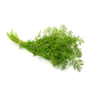 DILL 茴香 / 莳萝 (50G/PKT)