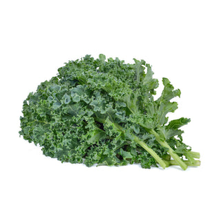 AUSTRALIA CURLY KALE 羽衣甘兰 (500G/PKT)