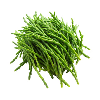 SALICORNIA SAMPHIRE (100G/PKT)