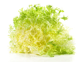 YELLOW FRISEE 黄皱叶菊苣 (400G/PKT)