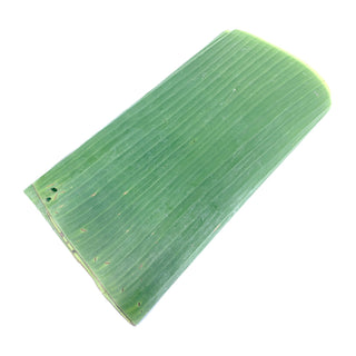 BANANA LEAF 香蕉叶