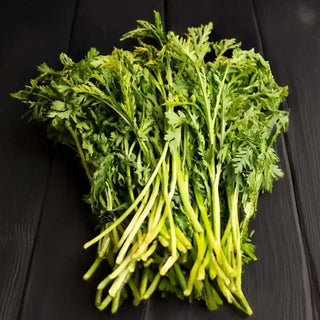 TANG OH 茼蒿 (450G-500G/PKT)