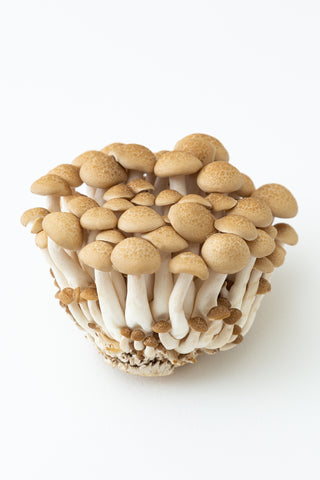 SDM - BROWN SHIMEJI (150G/PKT)