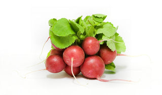 RADISH RED BABY 小红圆萝卜 (125G/PKT)