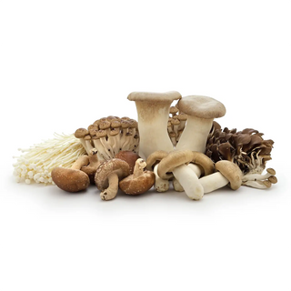 Mushrooms Collection | Lim Joo Huat