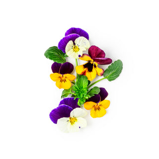Specialty & Edible Flowers