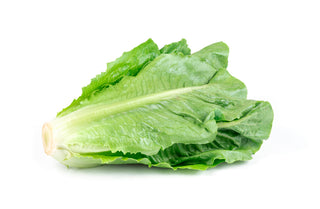 CHINESE COZ LETTUCE  YOU MAI CHYE 油麦菜 (500G/PKT)