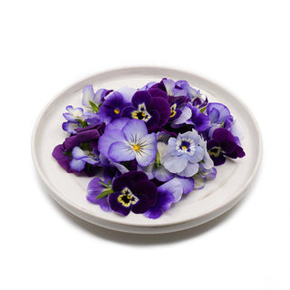 EDIBLE FLOWER - PURPLE VIOLA (10G/PUN)