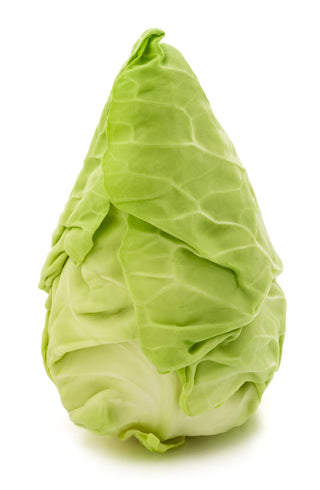 CABBAGE SUGARLOAF CABBAGE SPRING POINTED HEAD 尖头高丽菜