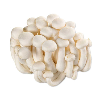 SHIMEJI MUSHROOM CUT ROOT WHITE 去根蟹味菇白 (150G/PKT)