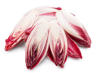 ENDIVE RED BELGIUM 红苦菊 (500G/PKT)