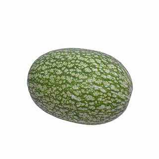 SHARKFIN MELON 鱼翅瓜 (3KG/NOS)