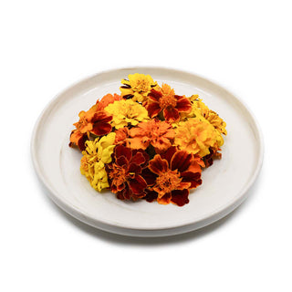 EDIBLE FLOWER - MARIGOLD 万寿菊花 (24G/PUN)