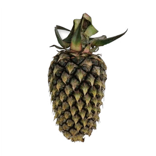 PINEAPPLE LOCAL 黄梨 (600G-700G/NOS)