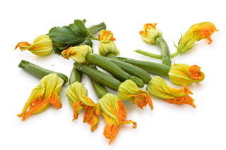 (SF.ZUC.FLW.ISR) ZUCCHINI FLOWER FEMALE - ISRAEL (15PCS/TRAY)