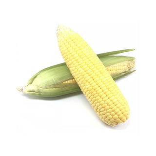 CORN ON COB 玉米 (2PCS/PKT)