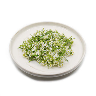 EDIBLE FLOWER - WHITE SWEET ALYSSUM 香雪球花 (10G/PUN)