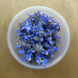 EDIBLE FLOWER - BORAGE / STAR FLOWER 琉璃苣花 (10G/PUN)