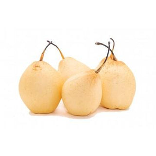 PEAR CHINA / SNOW 雪梨 / 黄皮梨 (150G-200G/NOS)