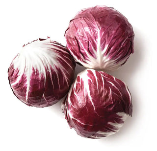 CHICORY RED 红菊苣 (500G/PKT)