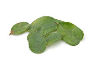 LIME LEAF / KAFFIR LEAVES 柠檬叶 (300G/BUN)