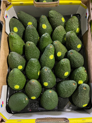 AVOCADO AUSTRALIA (25PCS/TRAY)