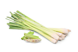 LEMONGRASS 香茅 (500G/PKT)