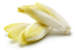 ENDIVE YELLOW BELGIUM 黄苦菊 (500G/PKT)