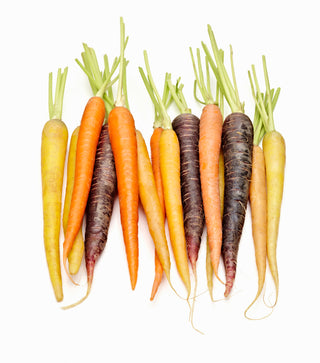 BABY CARROTS MIXED 红白紫三色小萝卜 (500G/PKT)