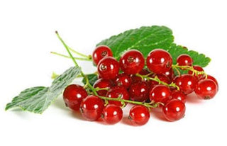 RED CURRANT 红酸栗 (100G-125G/PUN)