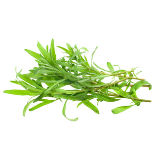 TARRAGON 龙蒿草 (50G/PKT)