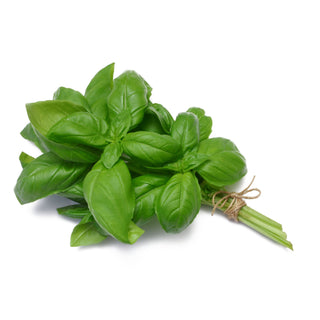 BASIL 罗勒 / 九辰塔 (50G/PKT)