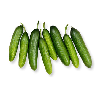 CUCUMBER BABY 小黄瓜 (500G/PKT)