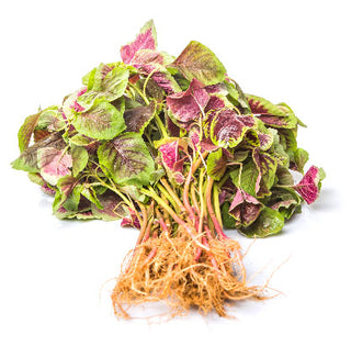RED SPINACH LOCAL RED BAYAM 紫菠菜 (300G/PKT)