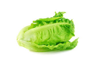 LETTUCE ROMAINE COS LETTUCE 罗曼生菜 (500G/PKT)