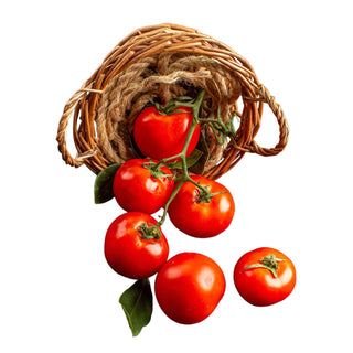 TOMATO VINE LARGE RED 枝上大蕃茄 (500G/PKT)