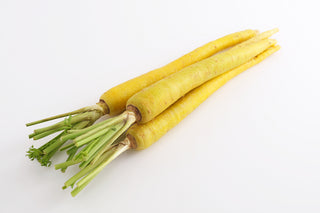 BABY CARROT WITH SPROUT - YELLOW 黄色小萝卜荷兰 (1KG/PKT)