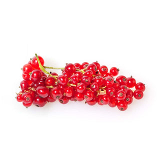 RED CURRANT 红酸栗 (100G-125G/PUN)