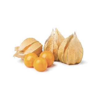 GOOSEBERRY / PHYSALIS 酸栗 (100G) ( BULK )