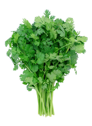 CORIANDER 香菜 / 芫荽 (300G-350G/BUN)